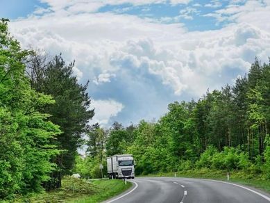 Lastebil som kjører på en vei omringet av skog